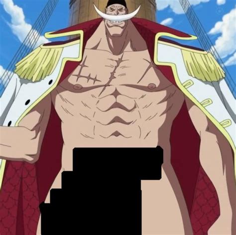 the one piece is real nsfw meme|THE ONE PIECEEE THE ONE PIECE IS REALLL (NSFW .